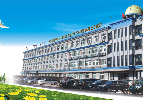 中國金輪集團(tuán)